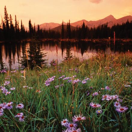 Rocky Mountain National Park