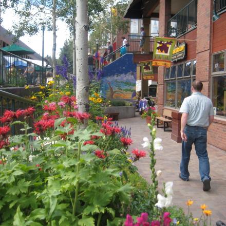 Shopping & Specialty Retail