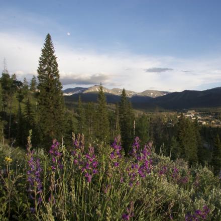 Winter Park Summer