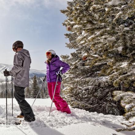 Family Skiing