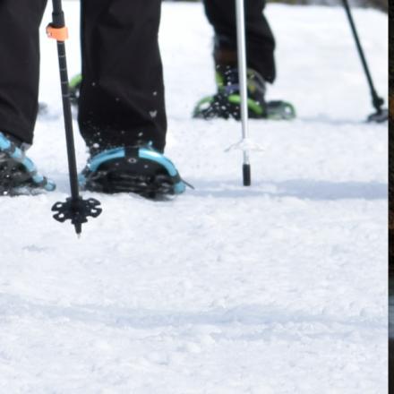 Close-up of snowshoes on fresh powder