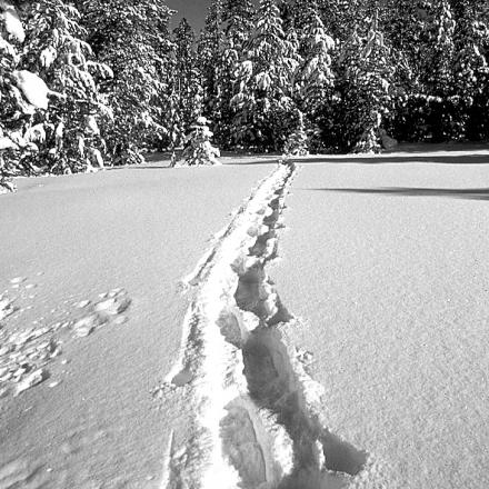 Venture into the backcountry near Winter Park, Colorado on snowshoe