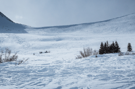 Avalanche Awareness