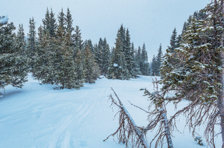 Colorado Backcountry