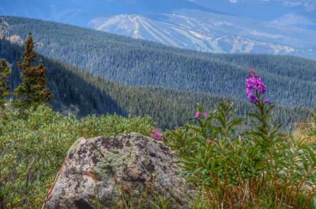 Views from Corona Pass Scenic Drive Near Winter Pak 
