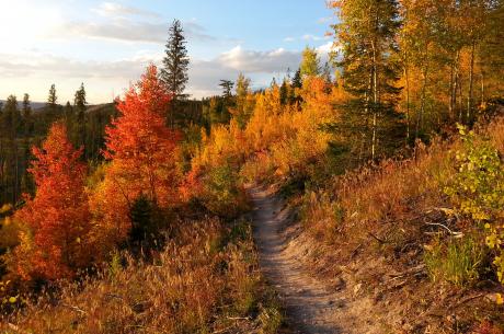 Fall hiking trail in Winter Park, Colorado 