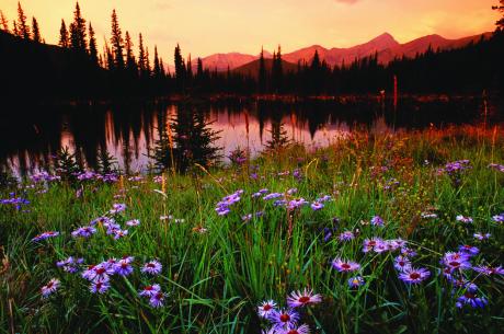 Mountain Lake & Meadow in Winter Park, Colorado 