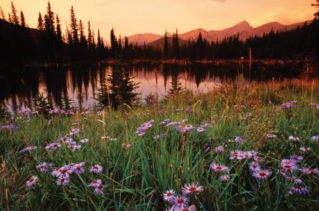 Rocky Mountain National Park