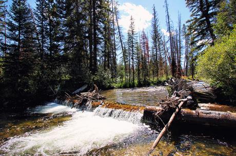 Winter Park Colorado Waterfall