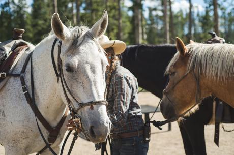 Winter Park Horseback Rides
