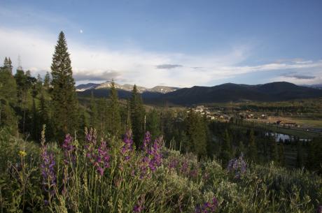 Winter Park Summer