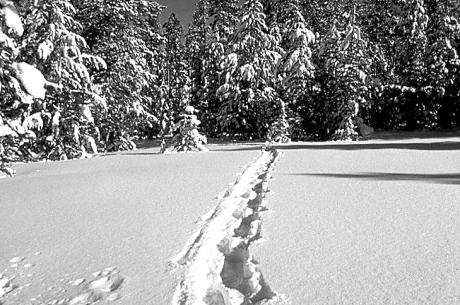 Venture into the backcountry near Winter Park, Colorado on snowshoe