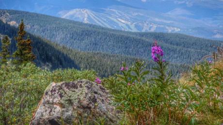 Views from Corona Pass Scenic Drive Near Winter Pak