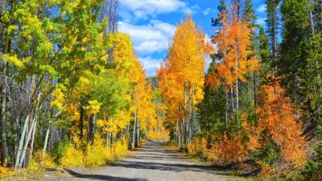 Corona Road in Fall near Winter Park, Colorado 