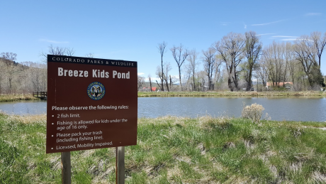 Access #9 Kemp/Breeze State Wildlife Area Breeze Unit-Kid's Pond