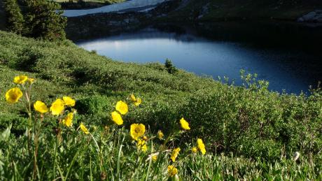 Rollins Pass Alpine Lake With Yellow Flowers near Winter Park, Colorado