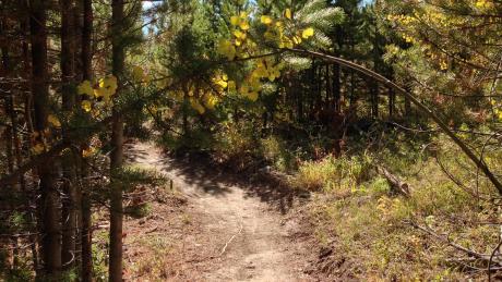 View from Yankee Doodle Trail in Idlewild Trail System